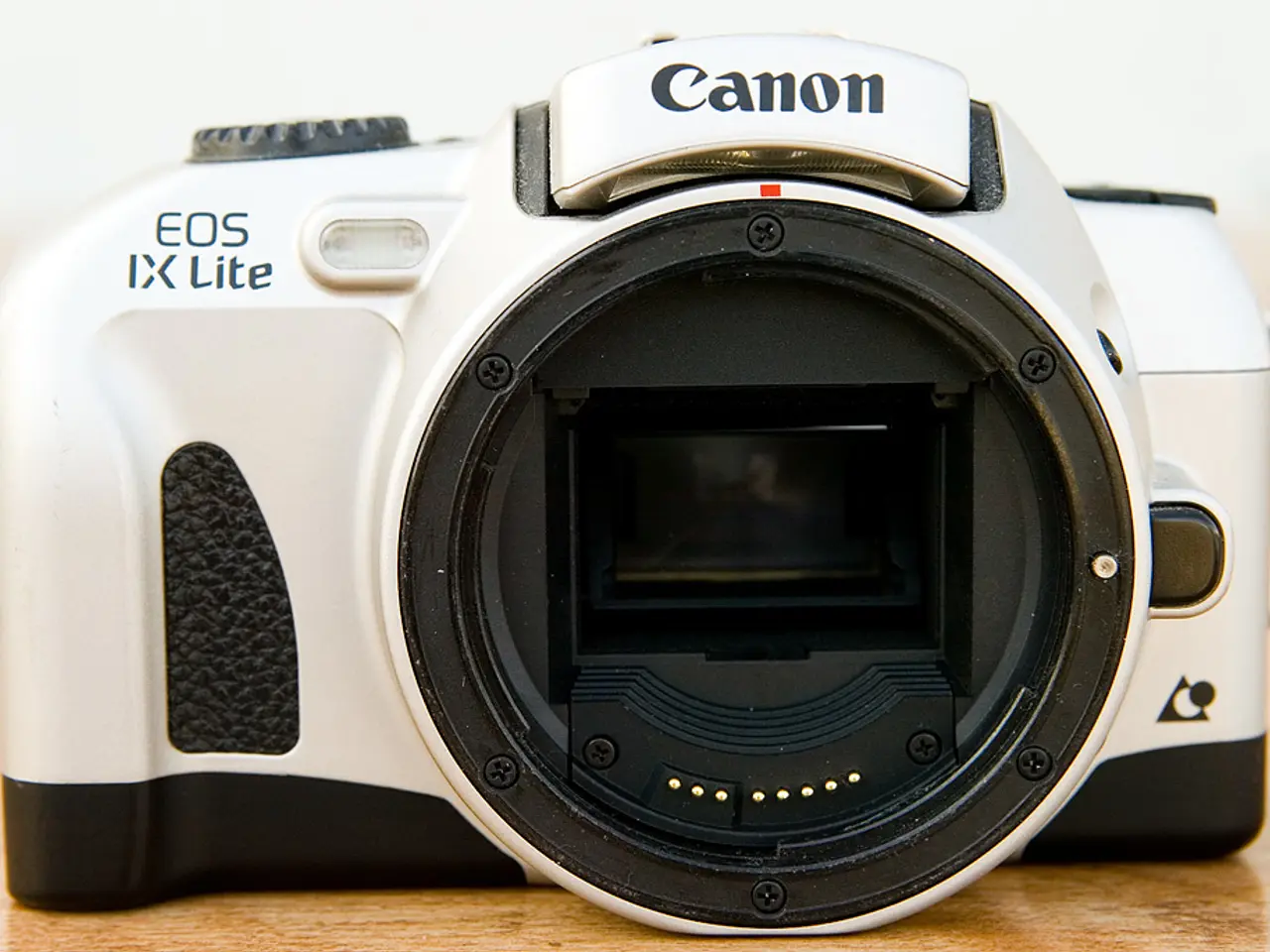 Initial Evaluation and Opinions Regarding Canon's EOS R1 Camera Model