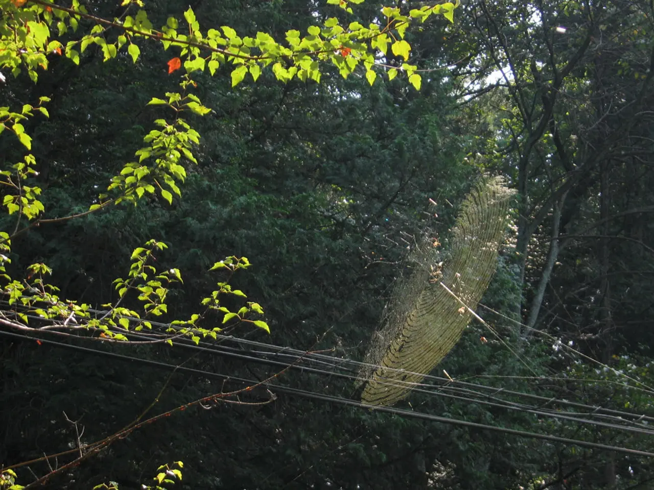 West Africa Encouraged to Adopt Remote Peering by TelCables Nigeria for Enhanced Internet...