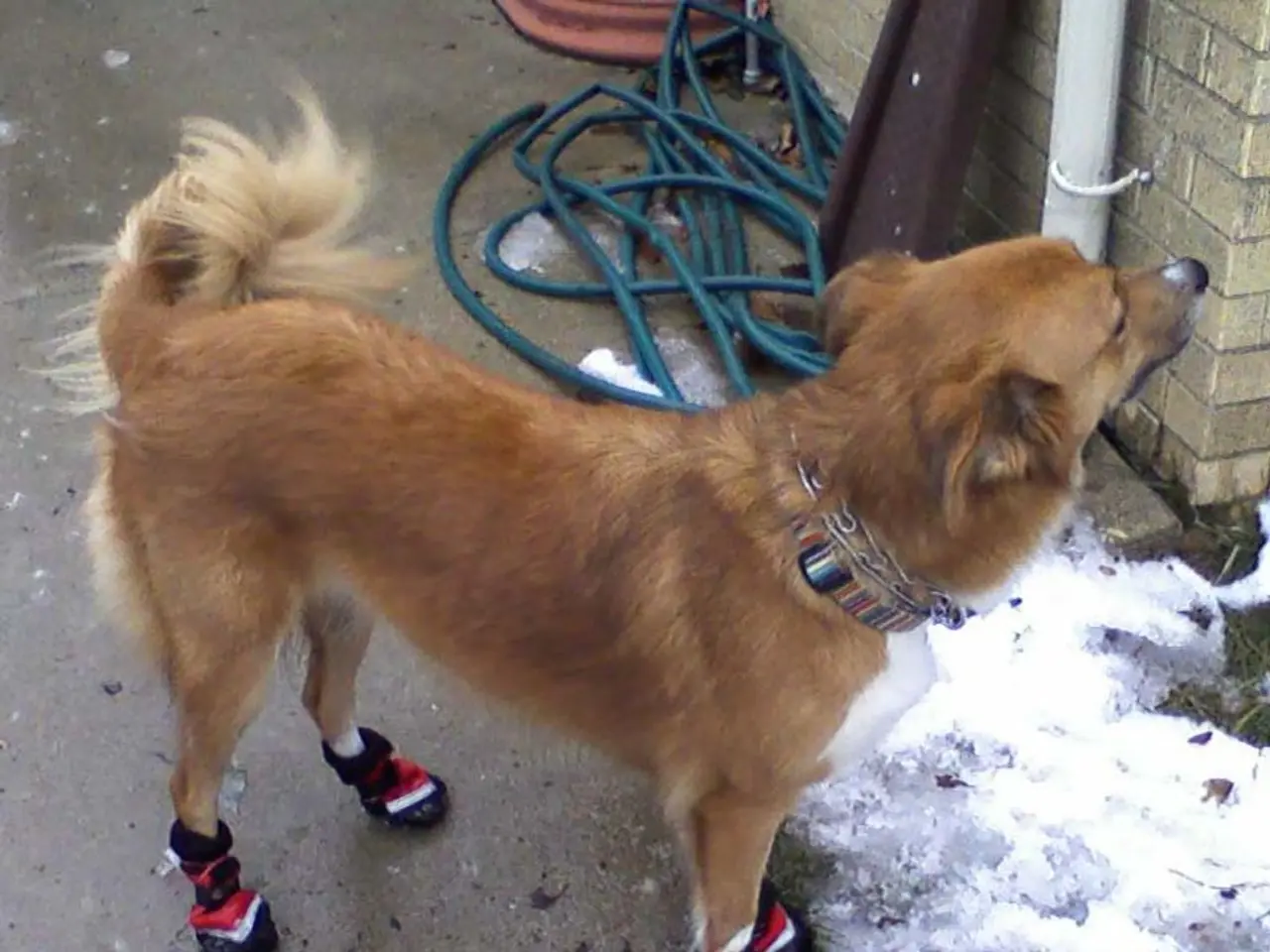 Cryptocurrency company, Thumzup, brings on Jordan Jefferson as a new member to its advisory team.