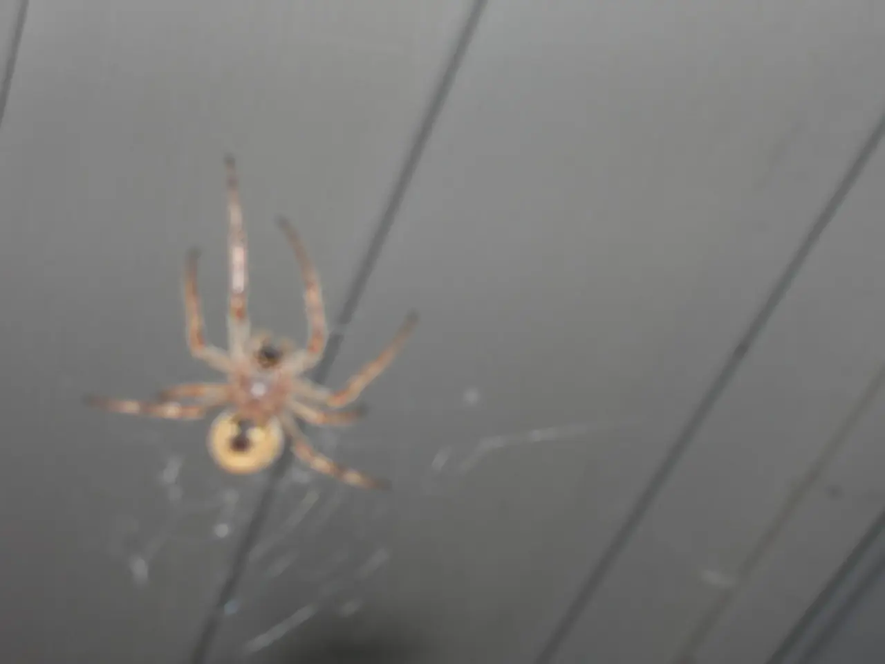 Chrome Browser Update: Google Addresses Four Critical Security Flaws