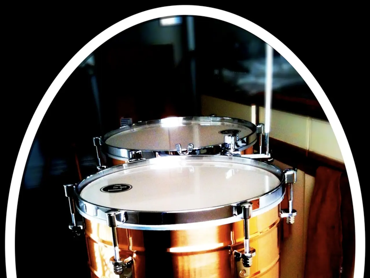 497 assorted, modular percussion sound samples accessible for free download