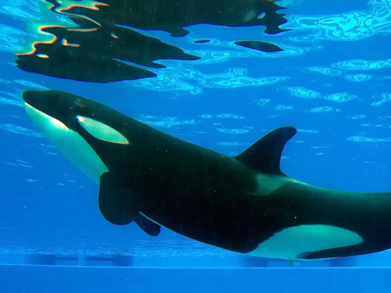 Decrease in Held Bitcoin Quantity Reaches 3.52 Million - Insights