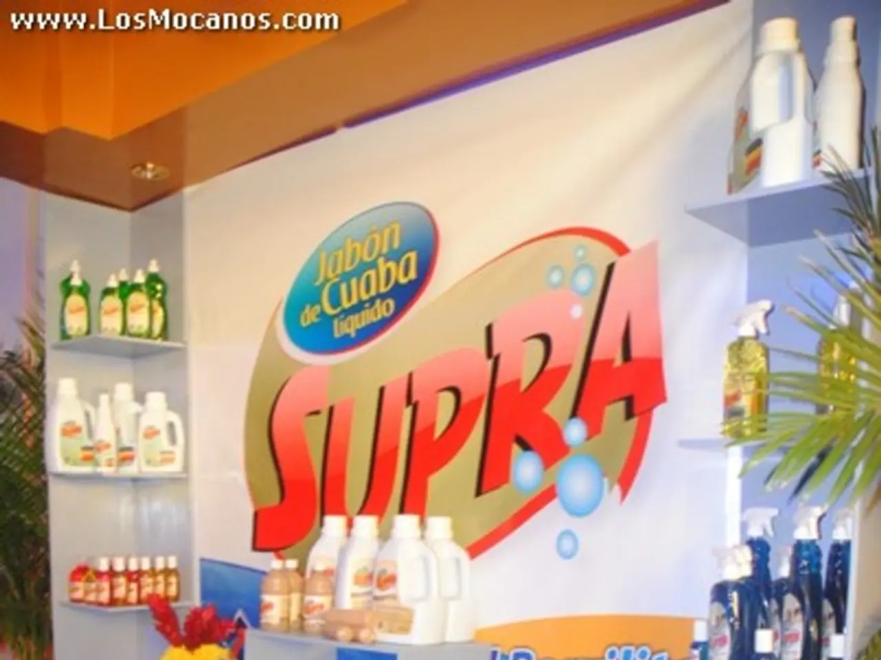 Study Analysis: VerboLabs' Localization Approach Propels Saas Expansion by 5 Times in a Year