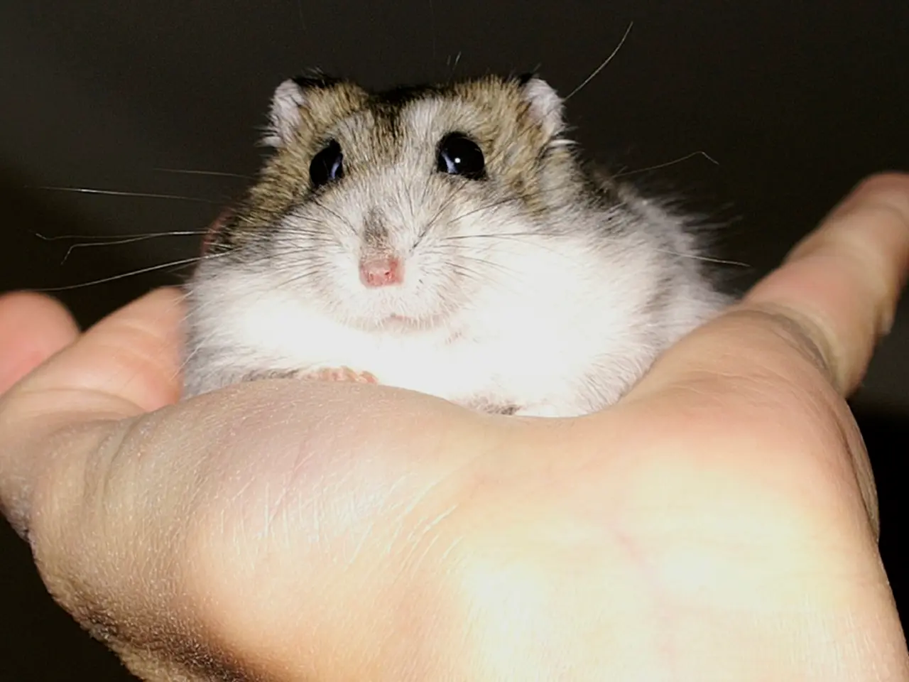 Logitech unveils its upcoming gaming mouse, the G Pro X2 Superstrike, featuring haptic-based...