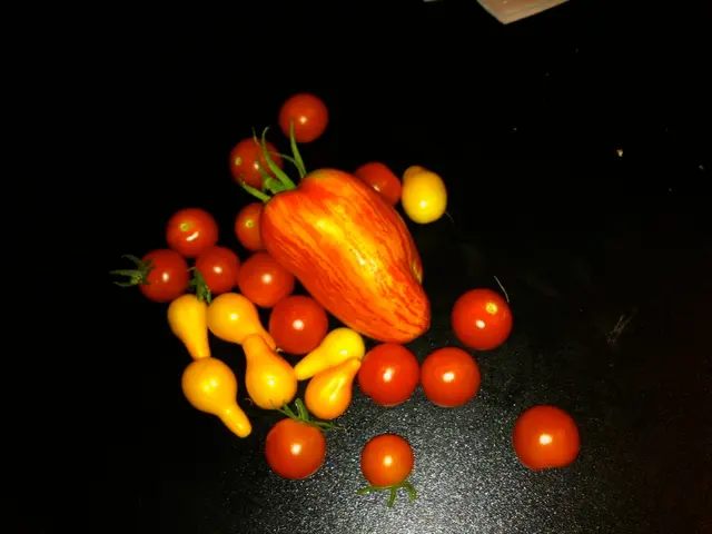 "Gamzix revives the popular 40 Chilli Fruits Superior slot game"