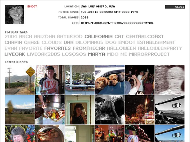 Do Image Models Comprehend User Requests?