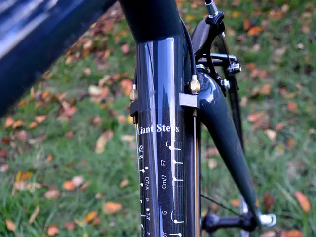 Determining the Ideal BMX Chainstay Length: A Guide