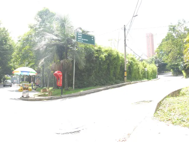 Discovered: Vulnerability in Cisco Systems Found