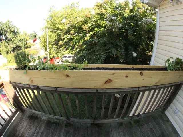 Unchecked SolarWinds file transfer vulnerability poses a significant risk, researchers caution