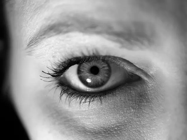 Neuralink Participates in Medical Trial to Develop a Cybernetic Vision Aid