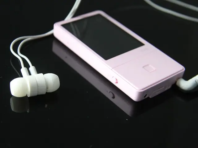 Homemade MP3 Player Modeled After the iPod