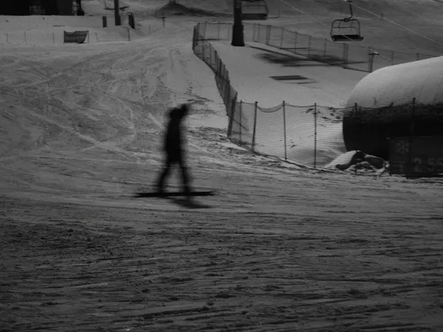 Details on Snowflake'sCustomer Cyber Assaults