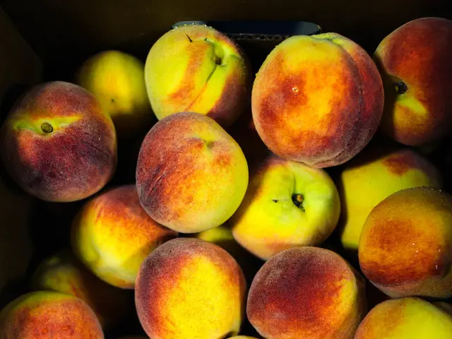 iTunes Demise Speculations Gaining More Credibility