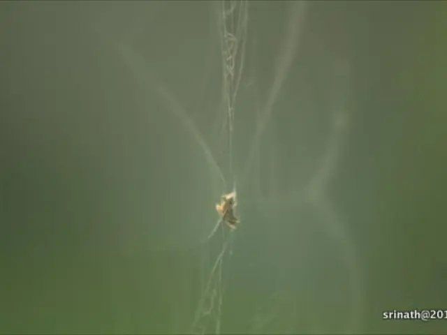 Web3 bolstered by partnership between Mind AI and Omnia, reinforcing AI capabilities.