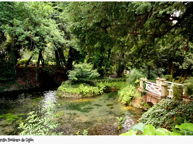 Cutting-edge Water Quality Surveillance in the Rhine River: Advanced Technology Used by Dusseldorf