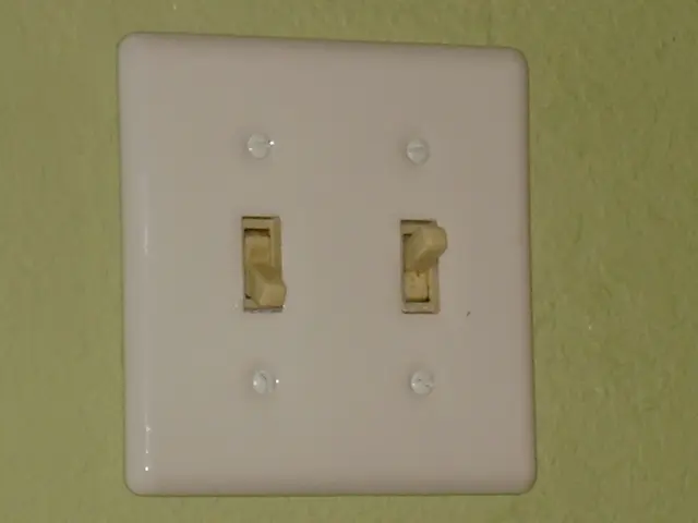 High-Speed Networking Devices for Efficient Data Transmission Management