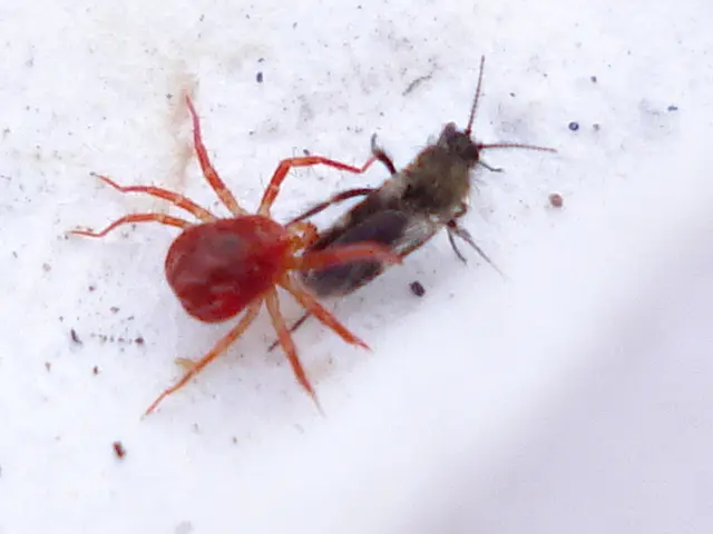 Server Bugs: 4 Potential Hazards and Mitigation Strategies