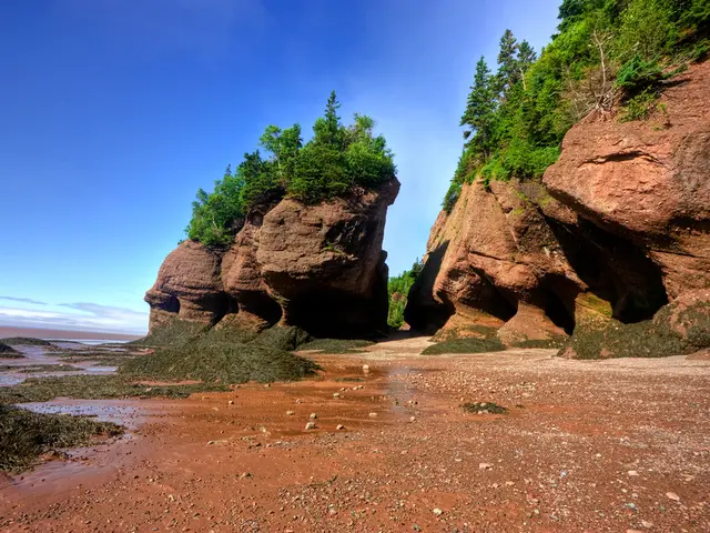 Giant Volcano of the Solar System Snapped by Mars Odyssey Exploration