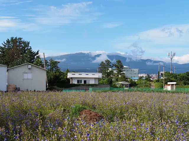 California connects 100,000 residential battery storage systems through the Virtual Power Plant...