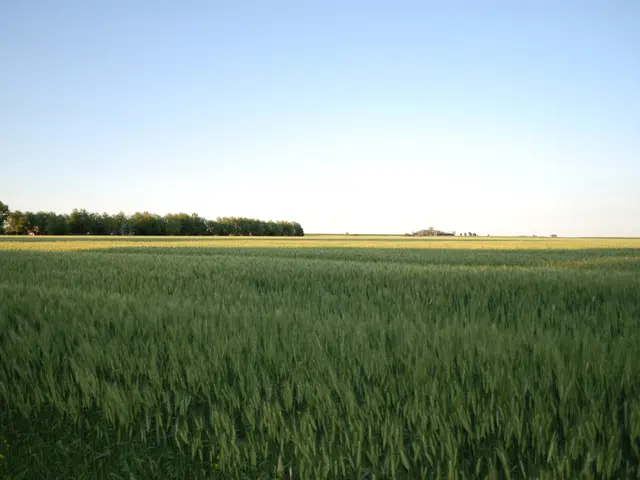 Uncertainty Surrounds the Shift to Renewable Energy: Citizens Questioned About Their Role in the...