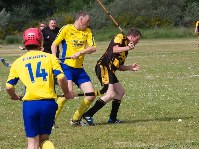 Scandinavian Investment Ventures: pioneering, eco-friendly, and reliable solutions