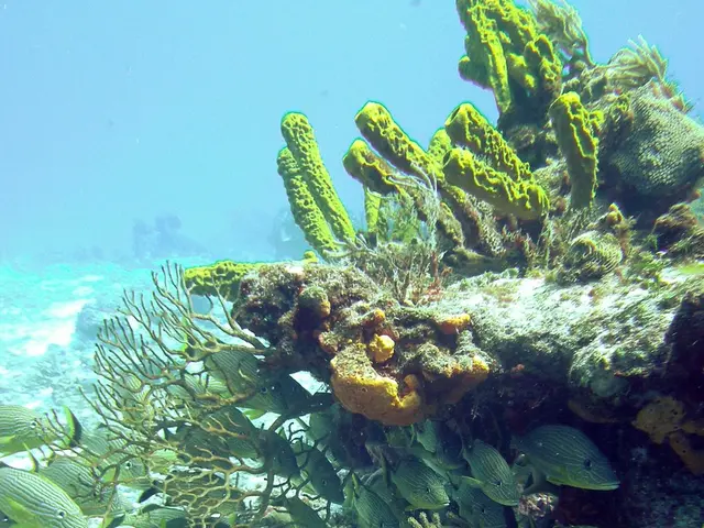 Is it appropriate to compromise ocean floors for advanced technological advancements in the future?