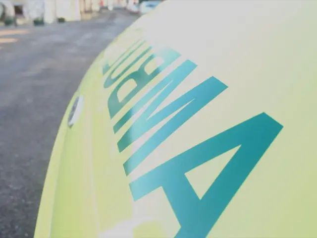 Collaborative endeavor between Voith and Mehrer advances marketing and innovation in hydrogen fuel...