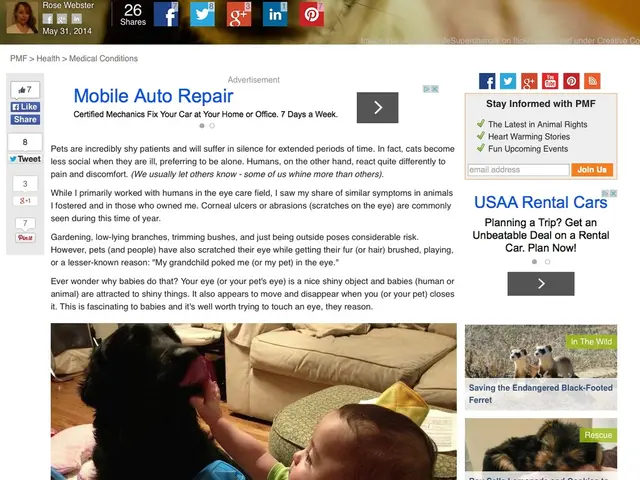 Online Data Privacy Regarding Users; Legal Guidelines for Web Designers and Programmers