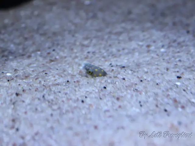 Konami stumbles before the launch of MGS Delta, announcing that the Fox Hunt multiplayer mode will...