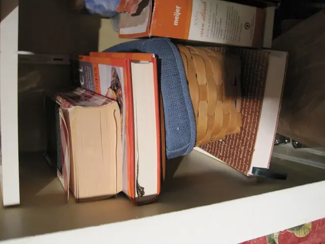 Programming Fundamentals: A Deep Dive into Python's Dictionary Functionality