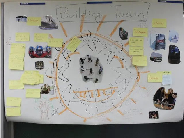 Essential Data Visualization Principles