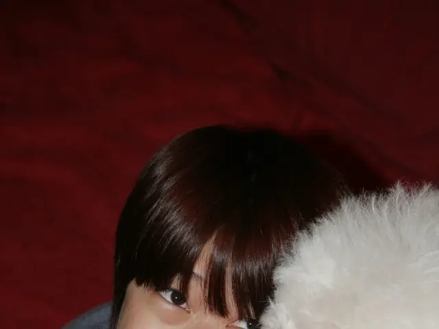 Live Launch in Helmstedt County: Innovative App Debuts, Potentially Transforming Lives Indefinitely