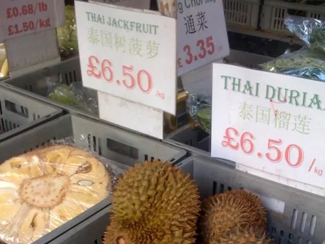 Shiba Inu vs. Little Pepe (LILPEPE) Prediction in 2025: Possible Superior Return on Investment...