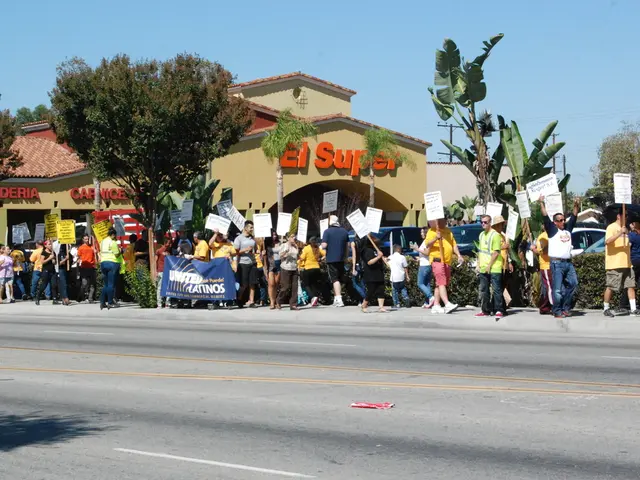 Utilizing Predictive Analytics for Political Advertising Strategies