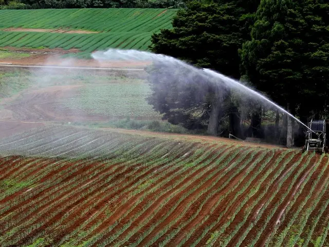 Addressing Climate Change Through Permaculture Practice