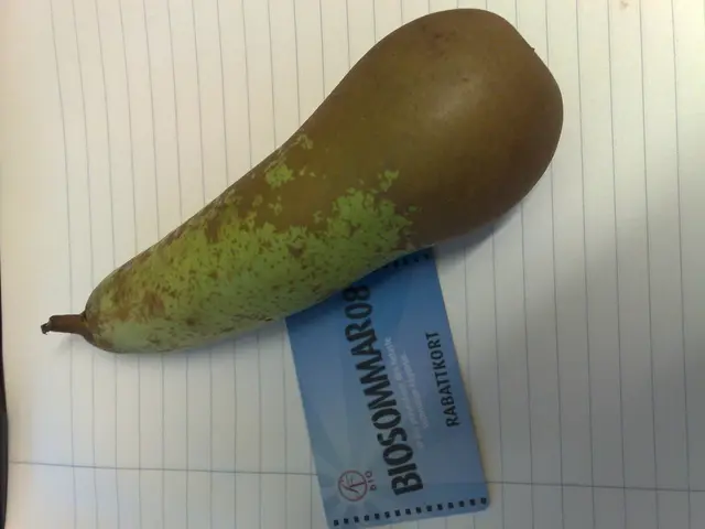 Reawakened Mt. Gox Wallet Holds 1,000 Bitcoins from the Satoshi Era