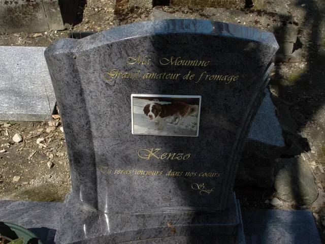 AI Ensures Imortality of Charlie Kirk for Certain Individuals