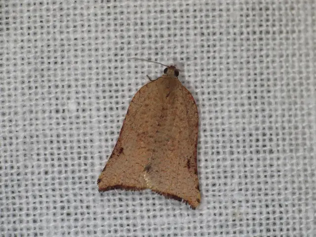 Company CEO Mike Massaro discusses Flywire's changing strategy in light of their 2021 financial...