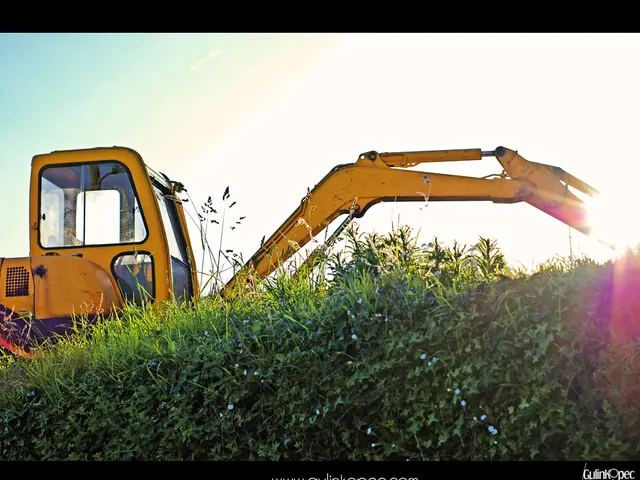 Demonstrating Carbon Capture in Agroforestry Through Digital Means of Verification