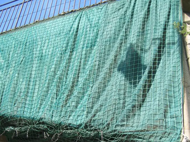 Zurich Airport's Sun-harnessing Fences: Pioneering Solar Innovation