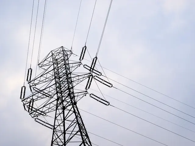 Federal Communications Commission mulling over foreign radio frequency spectrum