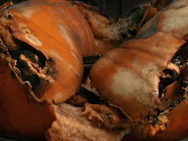 Fast-food chain Subway joins the trend of plant-based meat alternatives, introducing a Beyond Meat...