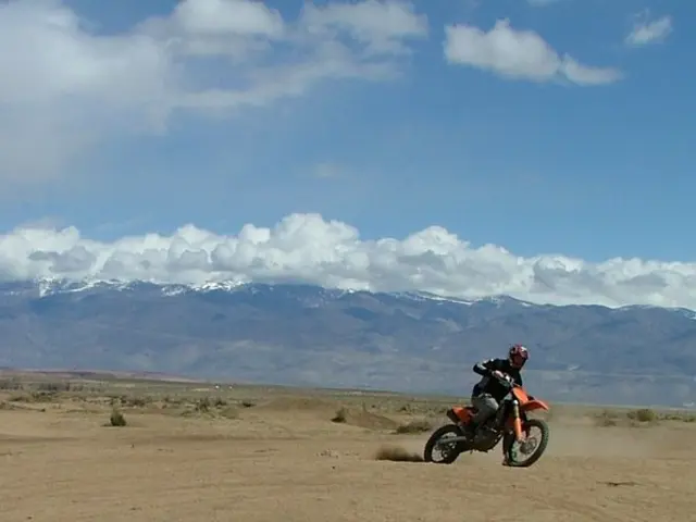 Live betting's electrifying thrill revealed