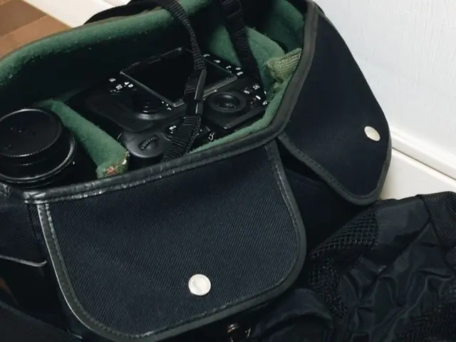 Here in this picture we can see black colored bags present on the floor over there and in that we...