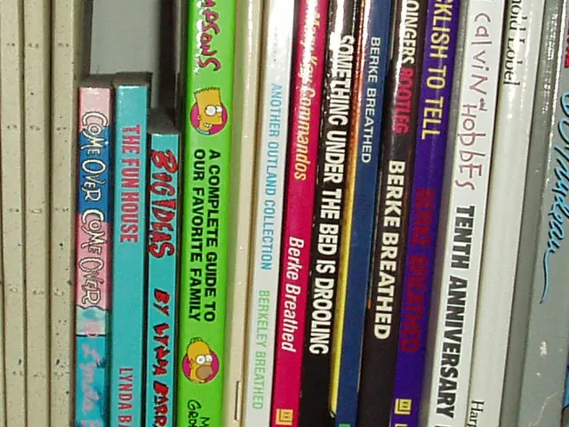 In this image there are books arranged in an order.