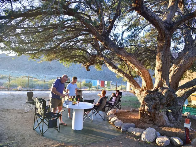 Few people are sitting on the chairs. Here a man is taking the beer bottles. At the right there is...