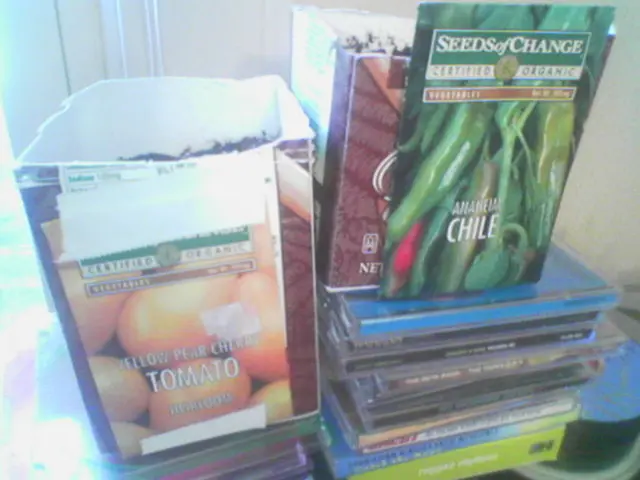 There are small cardboard boxes and a packet in the center of the image, it seems like there are CD...