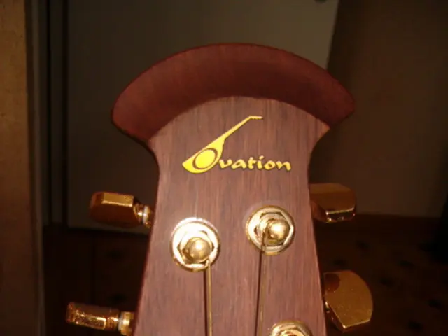 in side the room the instrument is there it could be guitar and it has 6 buttons and strings are...