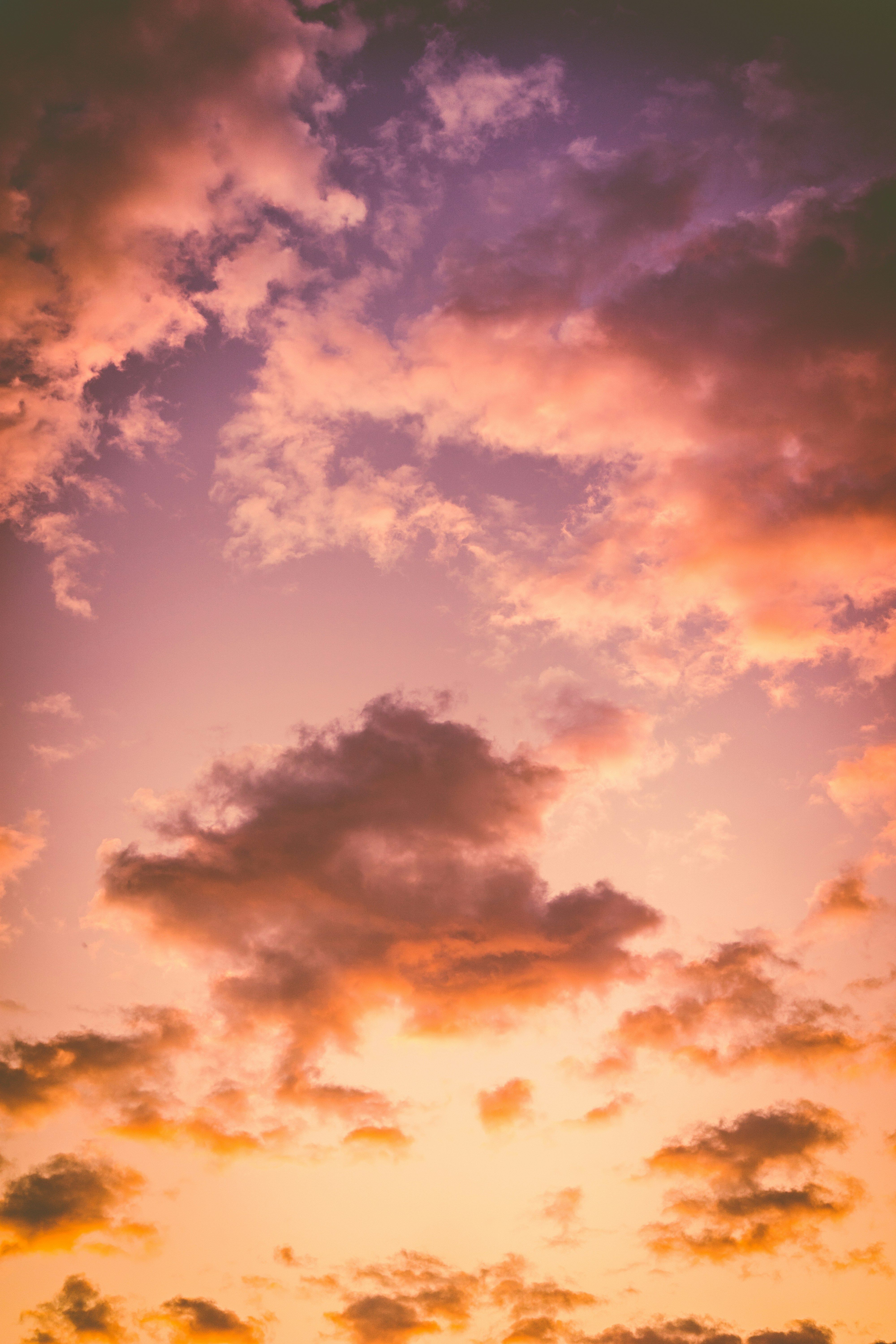 Elon Musk's track record involves promising ambitious timelines and subsequently delivering...